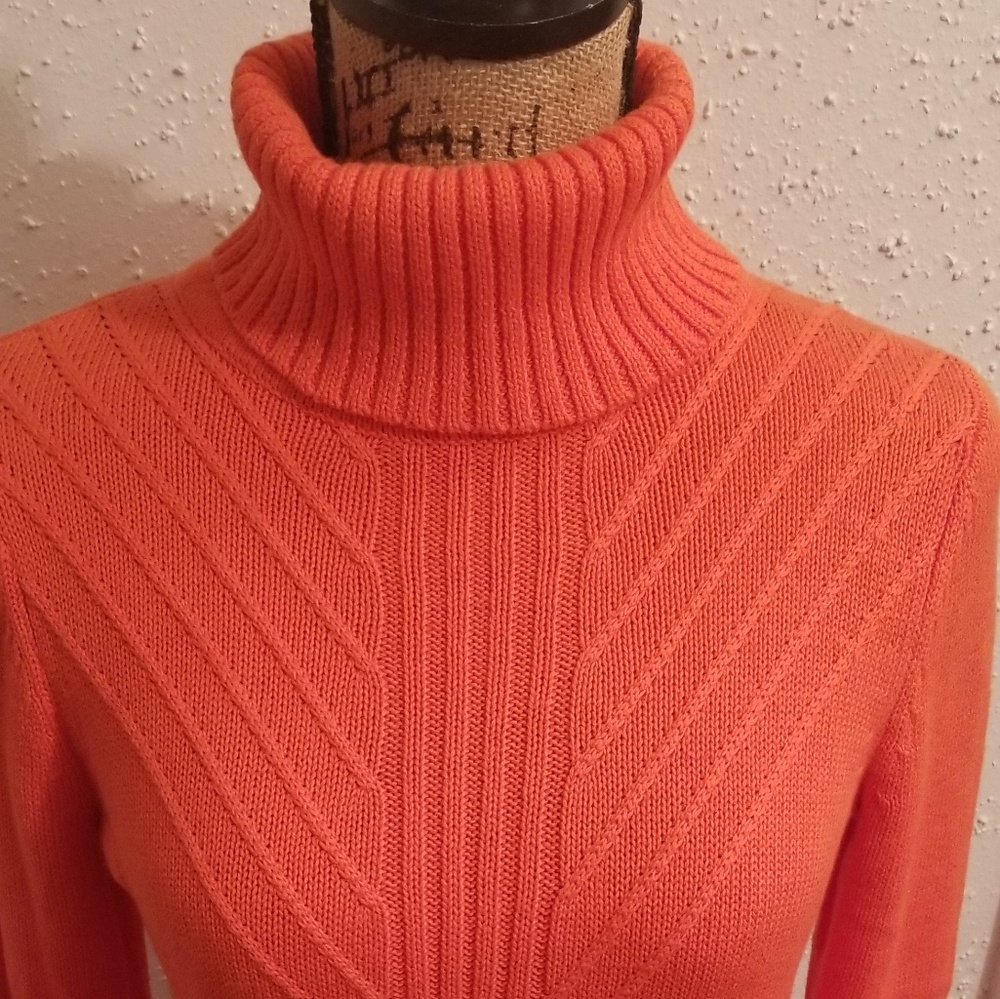Sweater Turtleneck